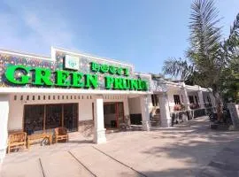 Hotel Green Prundi