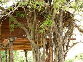 Habarana Wildwood Treehouse, kemp v destinaci Habarana