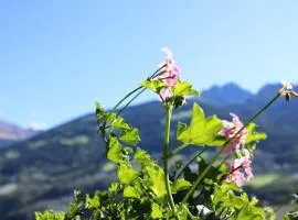 Ferienwohnungen Innerhofer