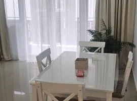 Studio Premium Dem Radulescu