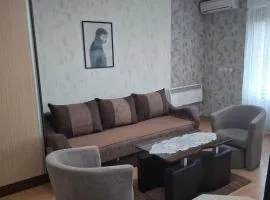 Apartman NIKOLIJA Vrnjačka Banja