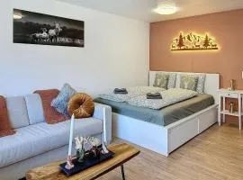 Saas-Fee Panorama Studio