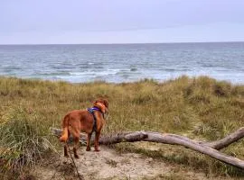 Appartementhaus Zingst 3 - Urlaub zwischen Meer & Bodden