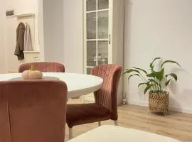 Negruzzi Apartment