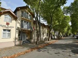 Hotel Platan