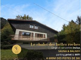 Chalet des Belles Roches, 14 pers, garden, sauna, hotel a La Bresse