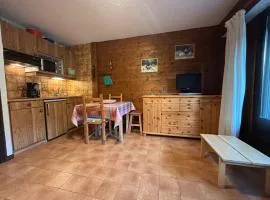 Studio au pied des pistes avec balcon exposé Sud et parking – Animaux admis - FR-1-692-67