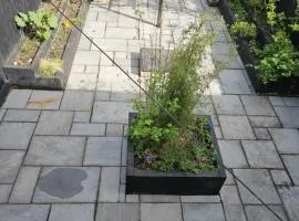 Garden homely house