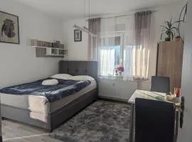 Studio apartman DINO z balkonom