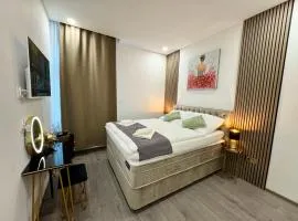 Little Downtown Apartment