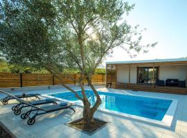 MY DALMATIA - Holiday home Relax with private pool，位于圣菲利普雅科夫的酒店
