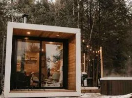 Aux Box Muskoka Modern Muskoka Bunkie