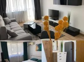 Hive Boutique-Apart Craiova