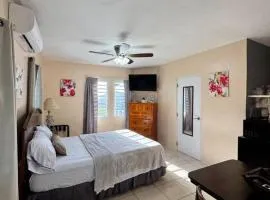 Lemongrass a New Apartment with a Downtown View, Sea View and Perfect Location