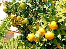 Light inn house Batumi