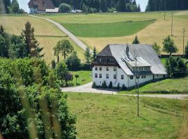 Gasthaus Pension Zum Löwen, къща за гости в Графенхаузен