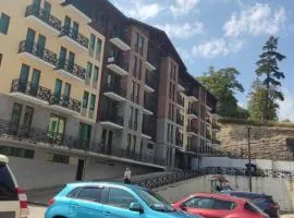 apartment in Bakuriani