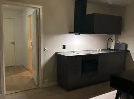 Northern Lights Studio