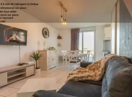 Splendid et cosy T2 terrasse, Airbus et Aéroport