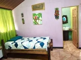 Jungle Jorges Casita