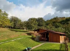 Brvnare Duguljac Fruška Gora