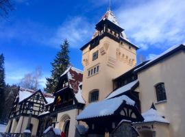 Complex La Tunuri - Vila Economat, accommodation in Sinaia