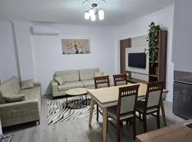 Snowy home Korce