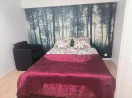 Appartement Jelyad Terres Fortes 1 à 10 minutes de Disney