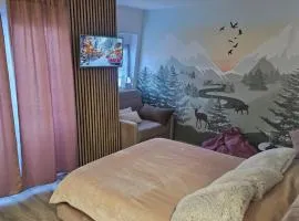 Snowman Studio Apartment Jahorina
