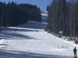 KungsbergetNatur