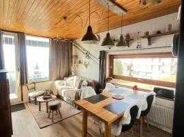Appartement charmant - Chamrousse - 36 m² - Vue montagne