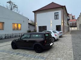 Ullmann Residence cu parcare in curte, Hotel in Oradea
