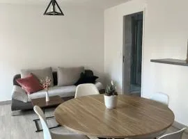 Charmant appartement au cœur de Buhl