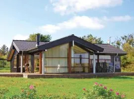 Holiday Home Havtornvej Hjørring