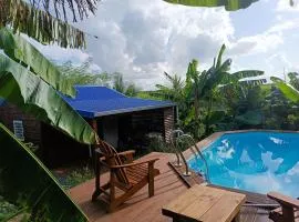 Le Paradis des Colibris Gîte créole avec piscine table dhôtes et nature à Anse Bertrand