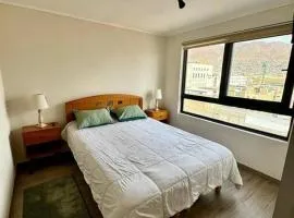 PRO HOME San Martin 1004