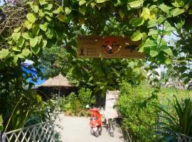 Wildflow jungle yoga safari and homestay