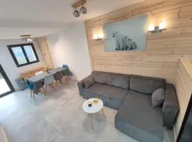 Le Bois Cosy appartement 4 étoiles 6 personnes, ACCES SKI ALPE D'HUEZ GRAND DOMAINE A 3 K M