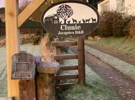 Jacquie's B&B -Dumfries-Room with a view