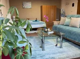 Alexandra's Studio pyli