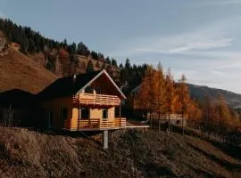 Village Brăduțu
