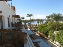 Oonas Dive Club