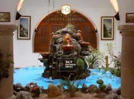 Hotel David