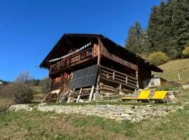 Chalet Plein Soleil - 100% Nature & authenticité