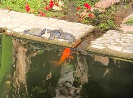 Instituto Aterra OUT，位于阿雷格里港的酒店