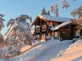 Pet Friendly Home In Nissedal With Wifi