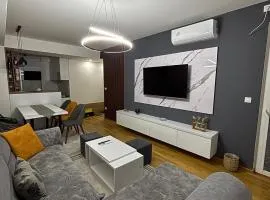 Luxury Apartment in Aerodrom