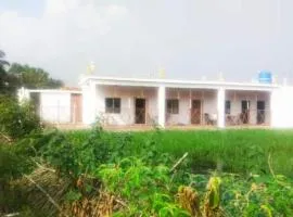 The Udaipur Diary By StayApart