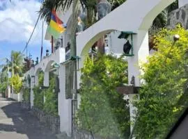 Cheerful 1 bed vacation home with tours & facilities