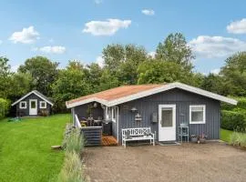 Amazing Home In Hemmet With Wifi